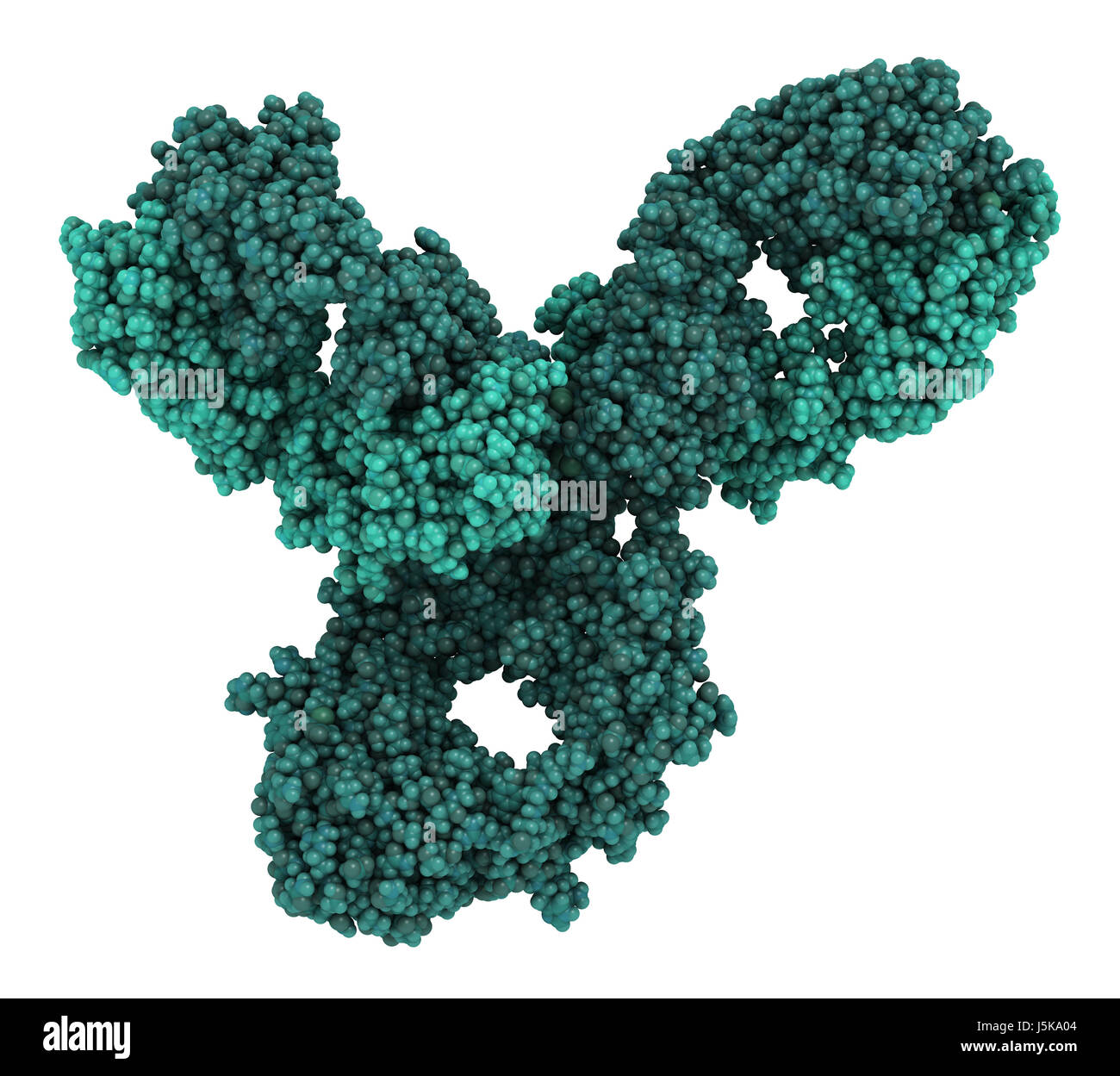 Pembrolizumab anticorpo monoclonale proteina farmaco. Immune inibitore di checkpoint preso di mira PD-1, utilizzato nel trattamento di un certo numero di cancri. Foto Stock