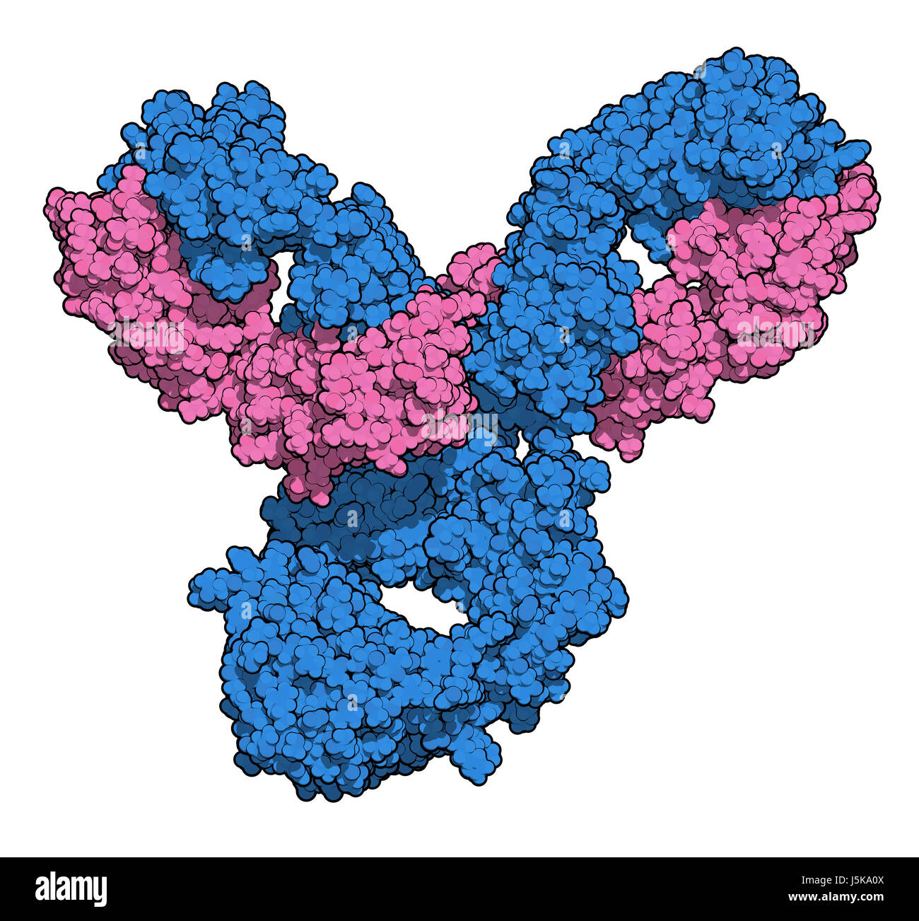 Pembrolizumab anticorpo monoclonale proteina farmaco. Immune inibitore di checkpoint preso di mira PD-1, utilizzato nel trattamento di un certo numero di cancri. Foto Stock