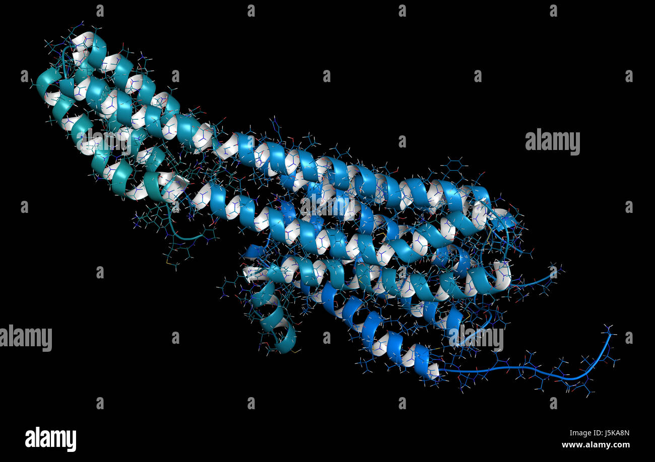 Il recettore della serotonina 5-HT2B proteina. Indicato nel complesso con una molecola di LSD. Coinvolto in indotta dal farmaco malattia cardiaca valvolare. Il rendering 3D. Foto Stock