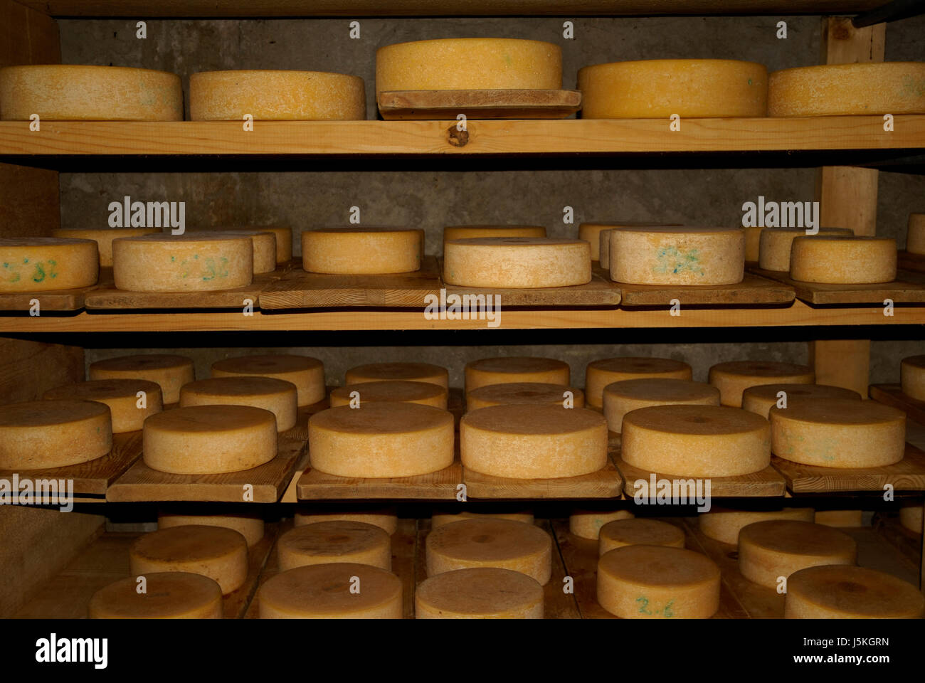 La tradizione di sale shelf negozio di formaggio svizzero cantina di maturazione salato focaccia formaggio Foto Stock