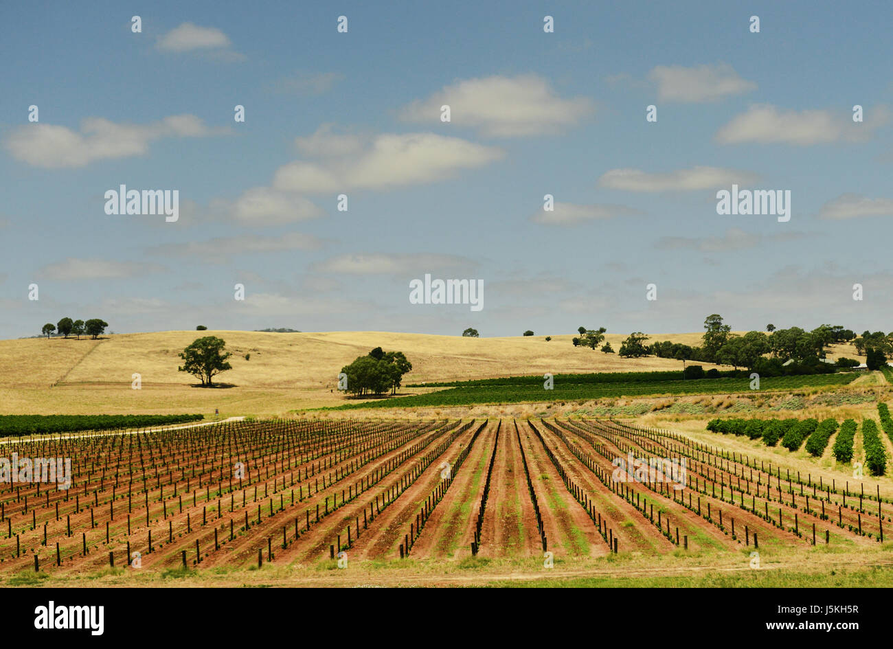 Splendidi paesaggi a Barossa Valley in South Australia. Foto Stock