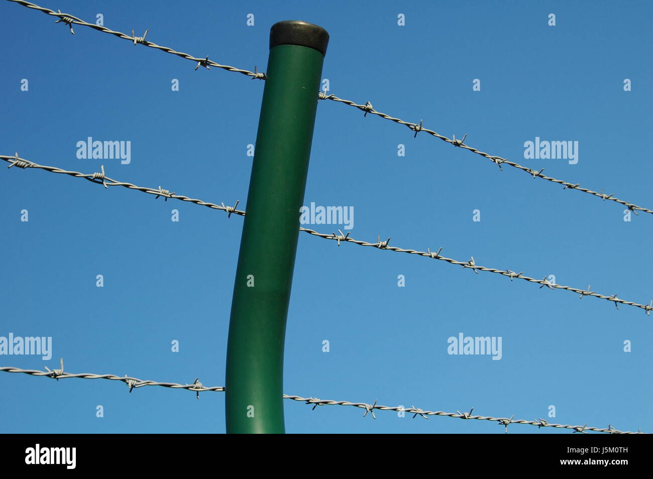 Recinzione metallica di protezione proteggono il filo spinato alto terrore di salvaguardia effrazione Foto Stock
