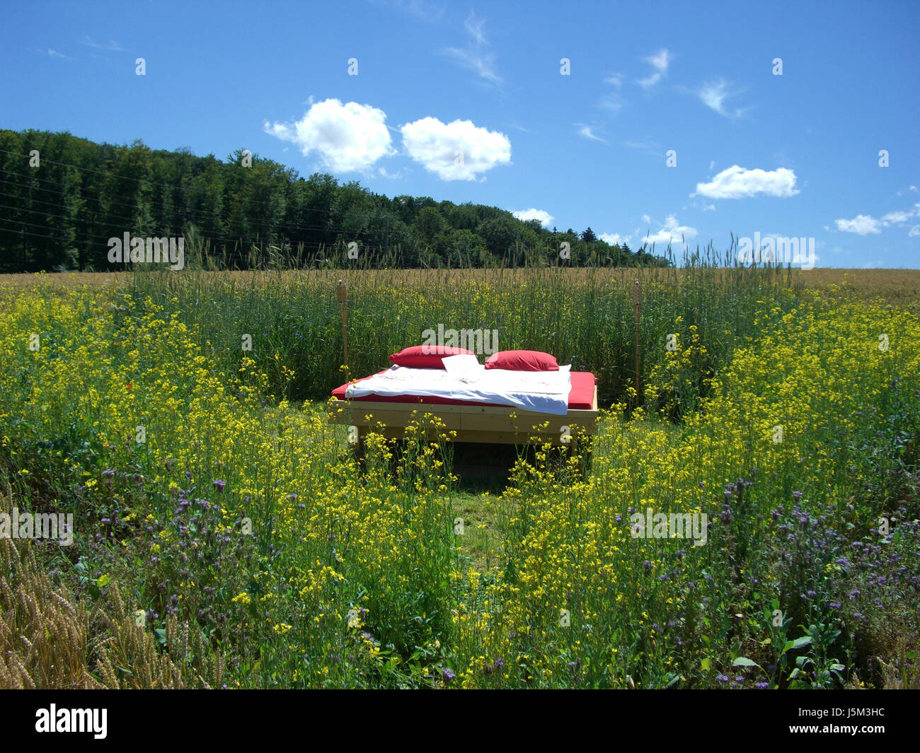 Ein Bett im Kornfeld Foto Stock