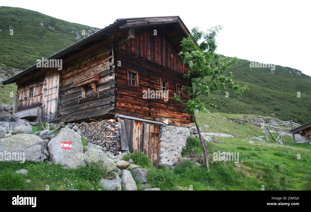 Struttura ad albero nella finestra di pietra oblò dormer nel riquadro finestra legno alpi escursione escursioni escursione Foto Stock