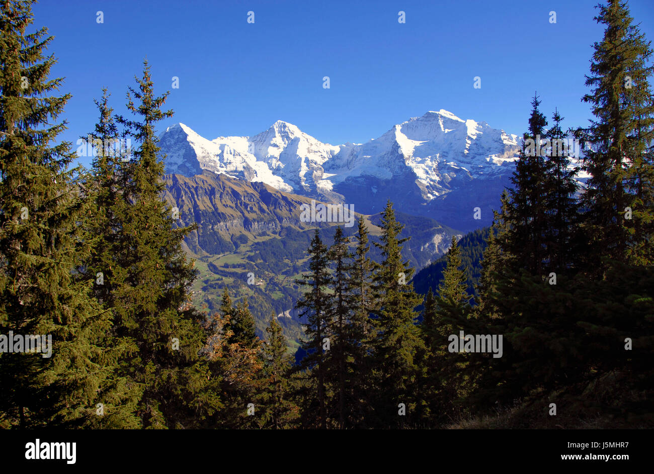 Panorama della Jungfrau Foto Stock