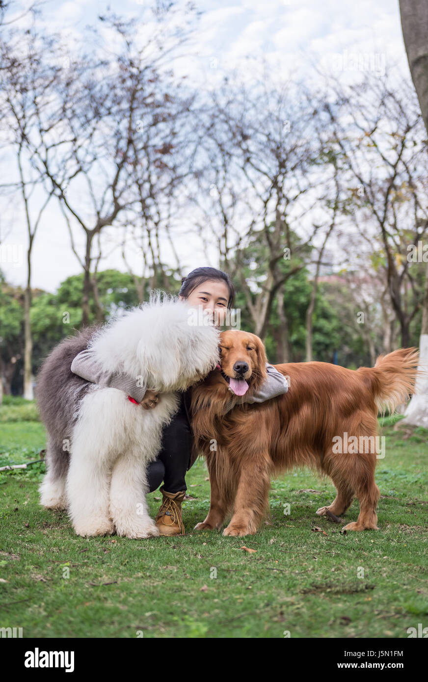Ragazza e cani, all'aperto sull'erba Foto Stock
