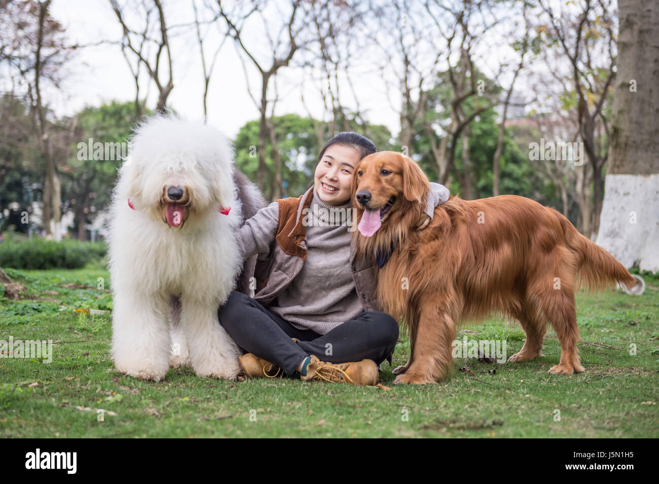 Ragazza e cani, all'aperto sull'erba Foto Stock