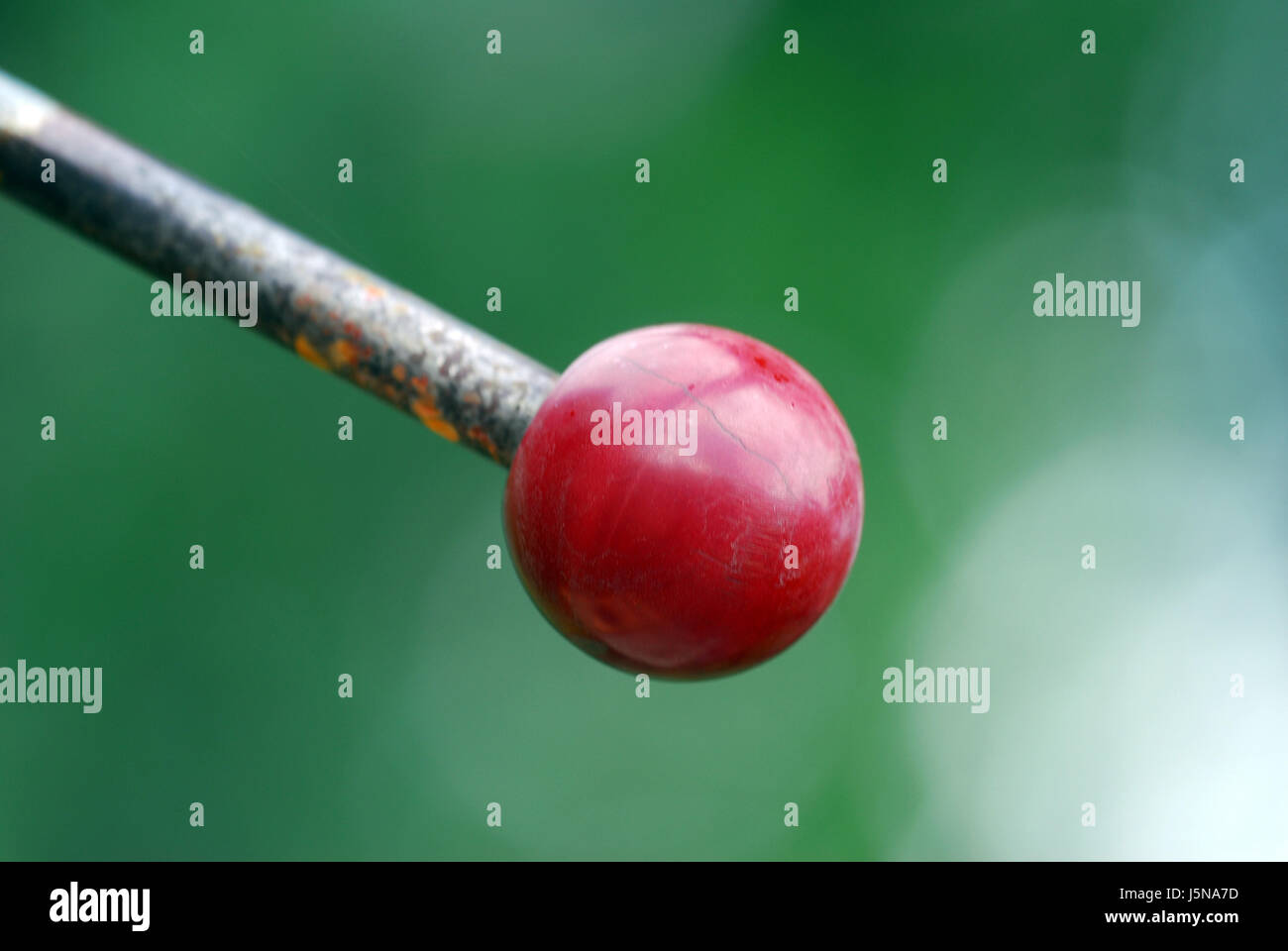 Leva interruttore leva del cambio divisione ambiente parti di macchina elemento della macchina Foto Stock