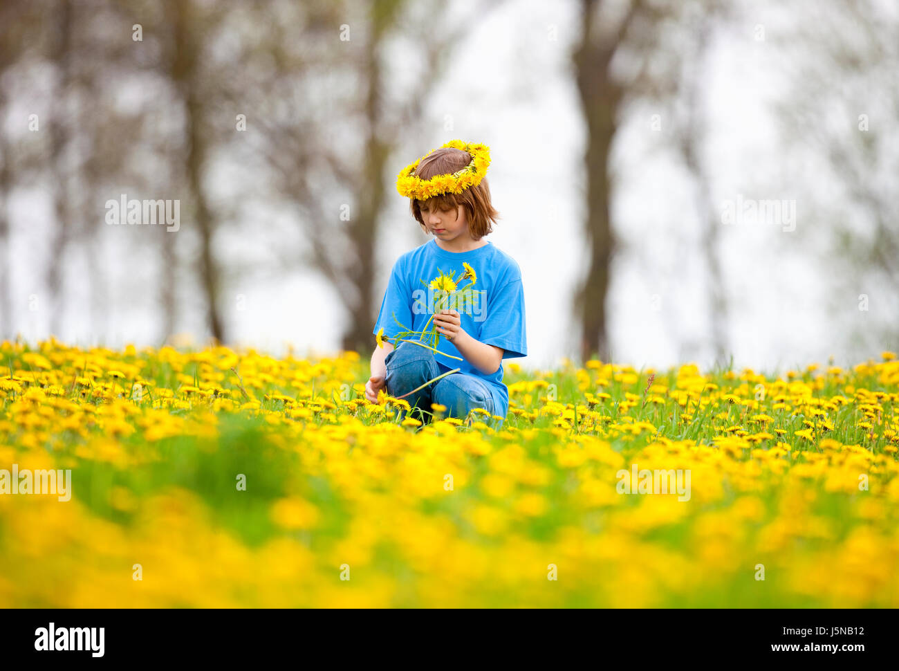 Ragazzo con capelli biondi il prelievo di tarassaco su un prato Foto Stock