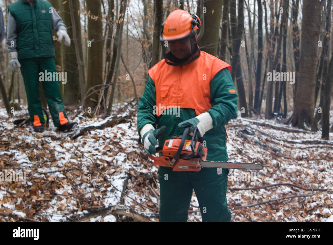 Dei lavoratori forestali in azione Foto Stock