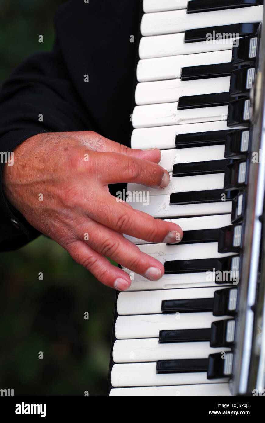 Tastiera per strumenti musicali armonica fisarmonica concertina strumento di misura Foto Stock