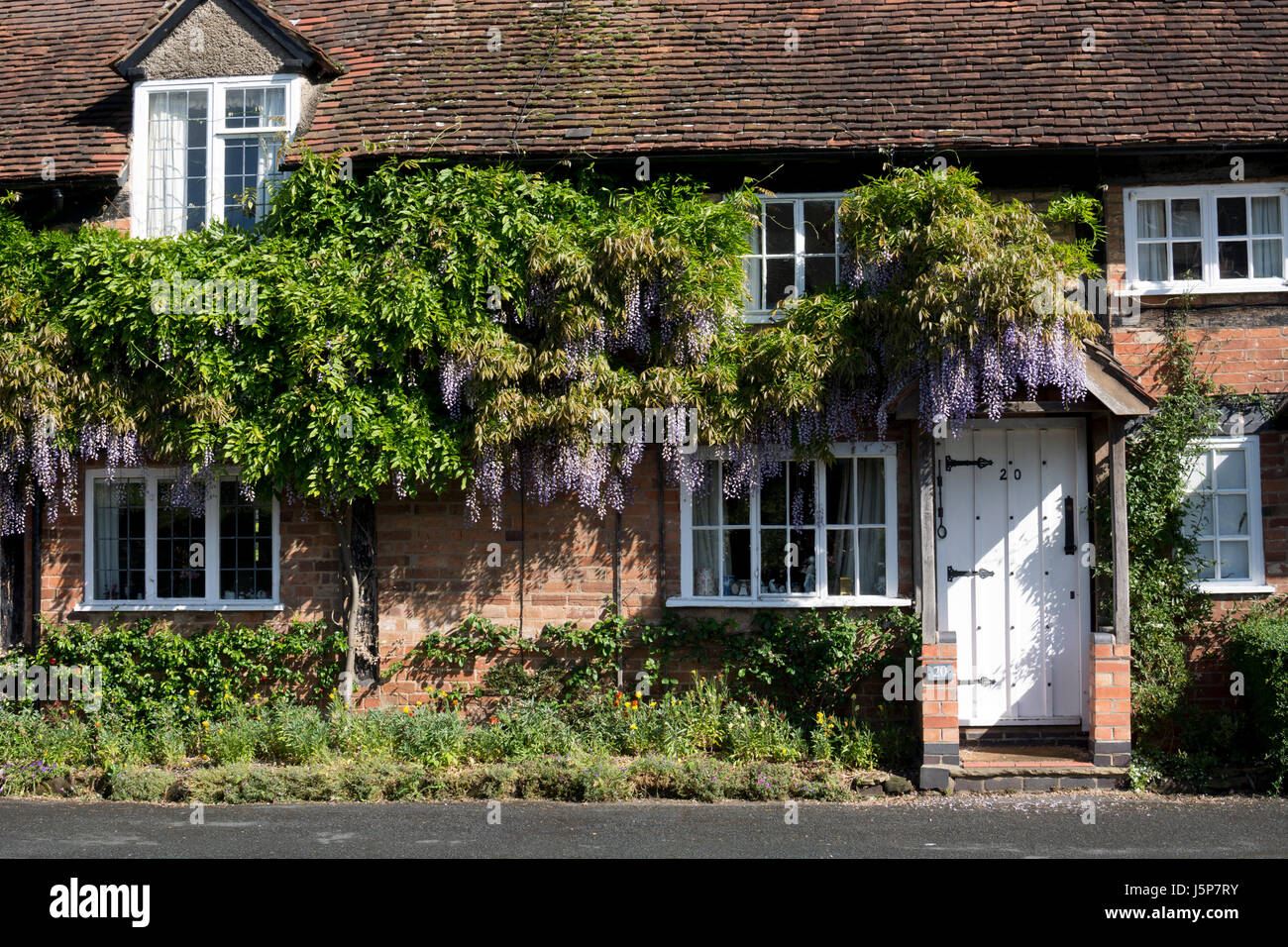 Il Glicine cresce su cottages in Bridge End, Warwick, Warwickshire, Regno Unito Foto Stock