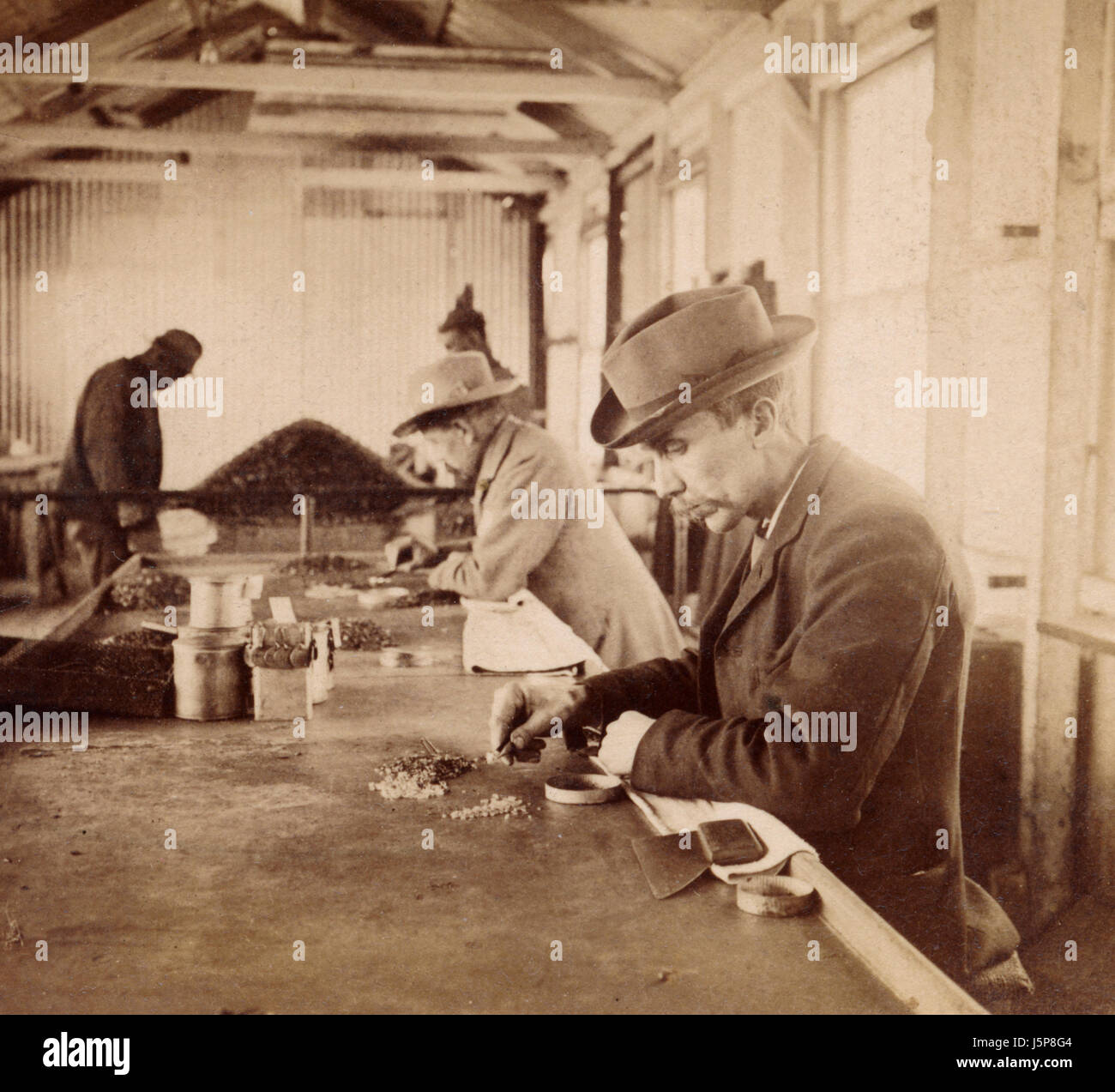 Smistamento dei diamanti grezzi, la De Beers miniere, Kimberley, Sud Africa circa 1900 Foto Stock