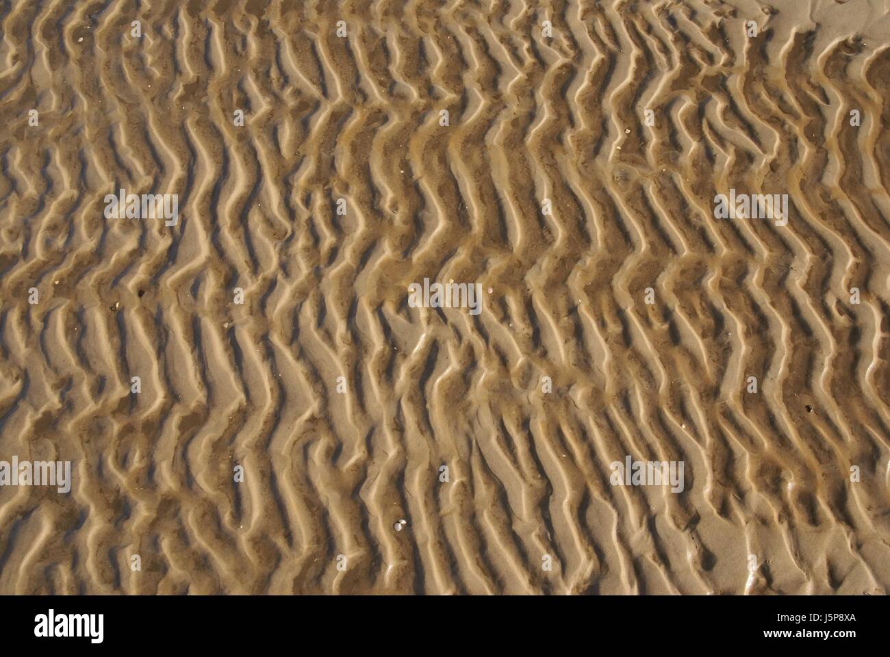Spiaggia mare spiaggia seashore shell onda granella duna alta marea astratto di watt Foto Stock