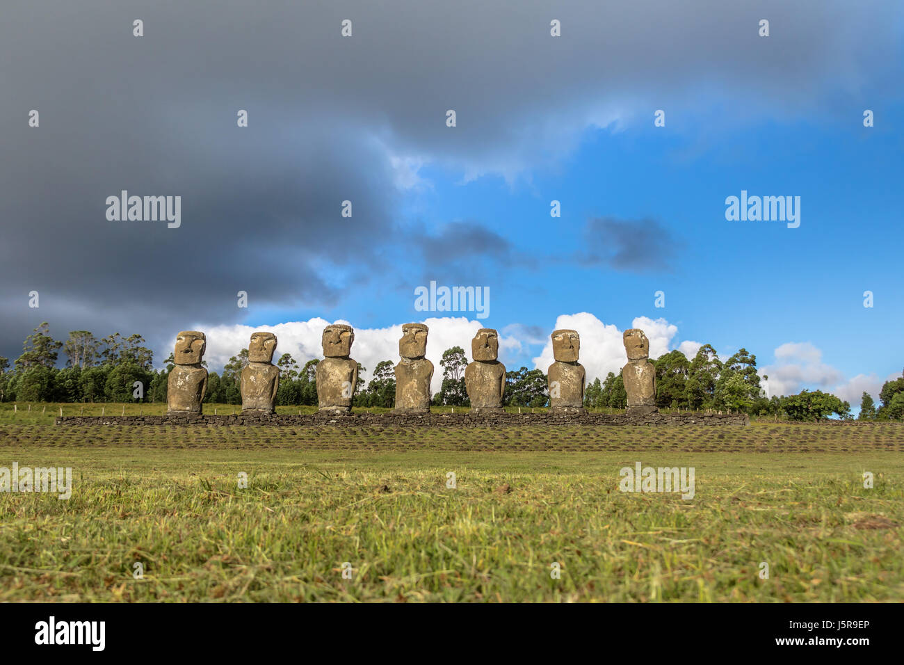 Moai Statue di Ahu Akivi, il solo Moai rivolta verso l'oceano - Isola di Pasqua, Cile Foto Stock
