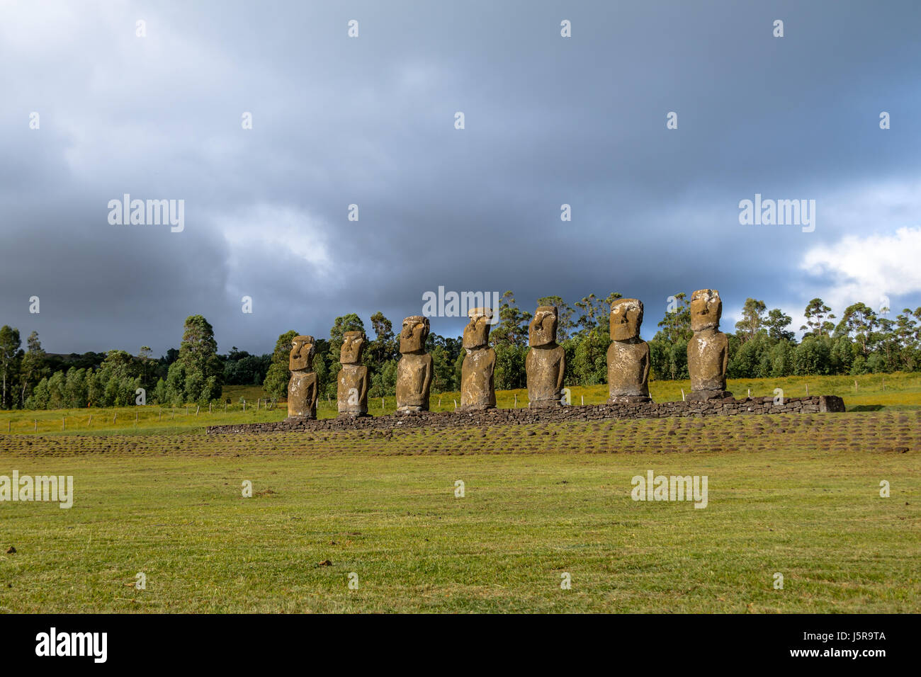 Moai Statue di Ahu Akivi, il solo Moai rivolta verso l'oceano - Isola di Pasqua, Cile Foto Stock