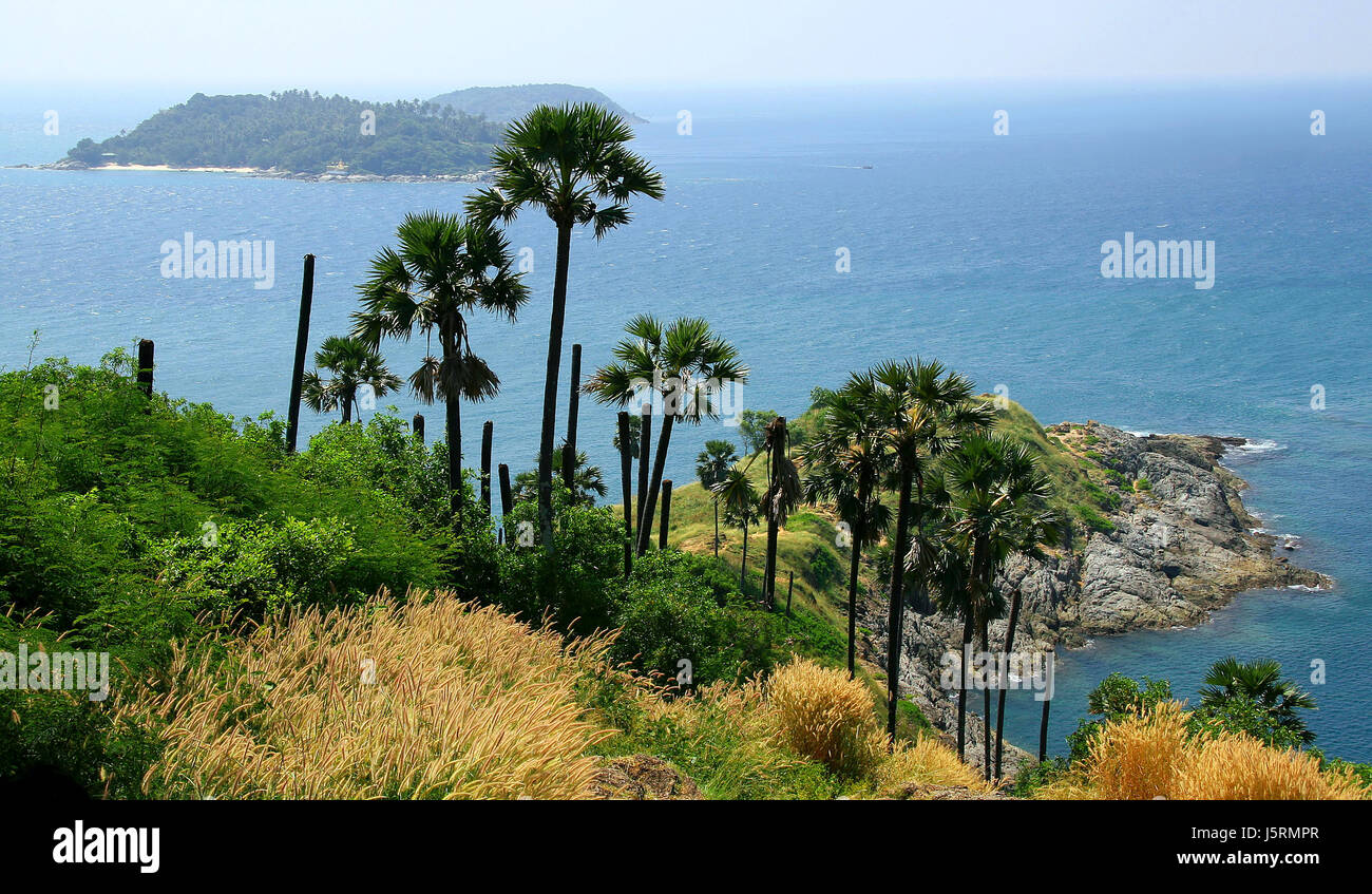 Thailandia l'acqua salata del mare acqua ocean blue horizon pianta verde spiaggia mare la Foto Stock