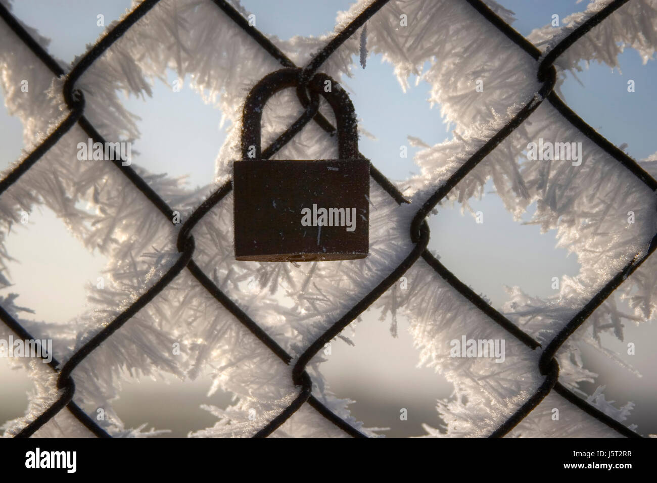 Inverno mature cristalli di recinzione metallica brina simmetria geometrica determinati Foto Stock