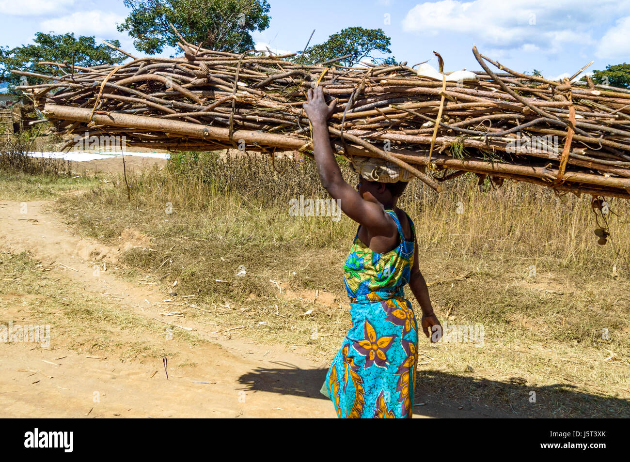La donna che porta un pesante pacchetto di legna da ardere sul suo capo a camminare su una strada sterrata per un villaggio rurale in Malawi, Africa Foto Stock