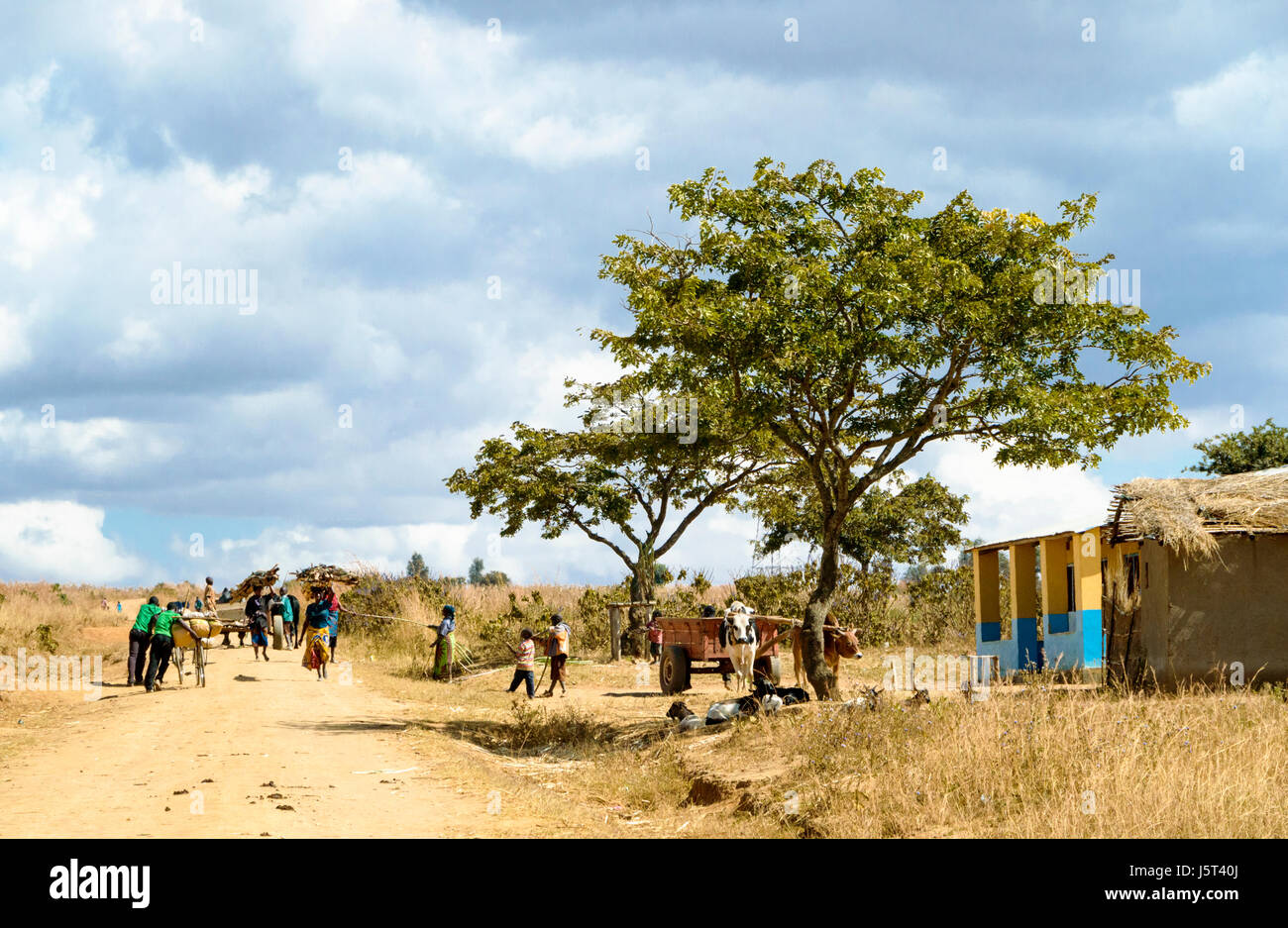 Una strada sterrata che passa attraverso un villaggio rurale in Malawi, Africa mostra un bue carrello uomini spingendo le biciclette e le donne che trasportano legna da ardere sulle loro teste Foto Stock