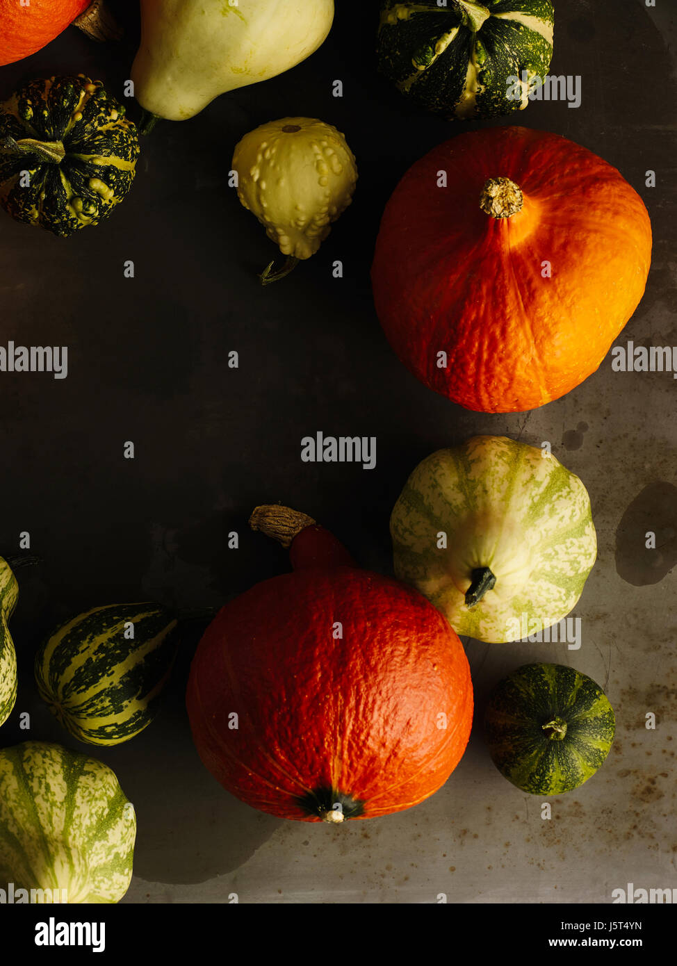 Diversi tipi di zucche Foto Stock