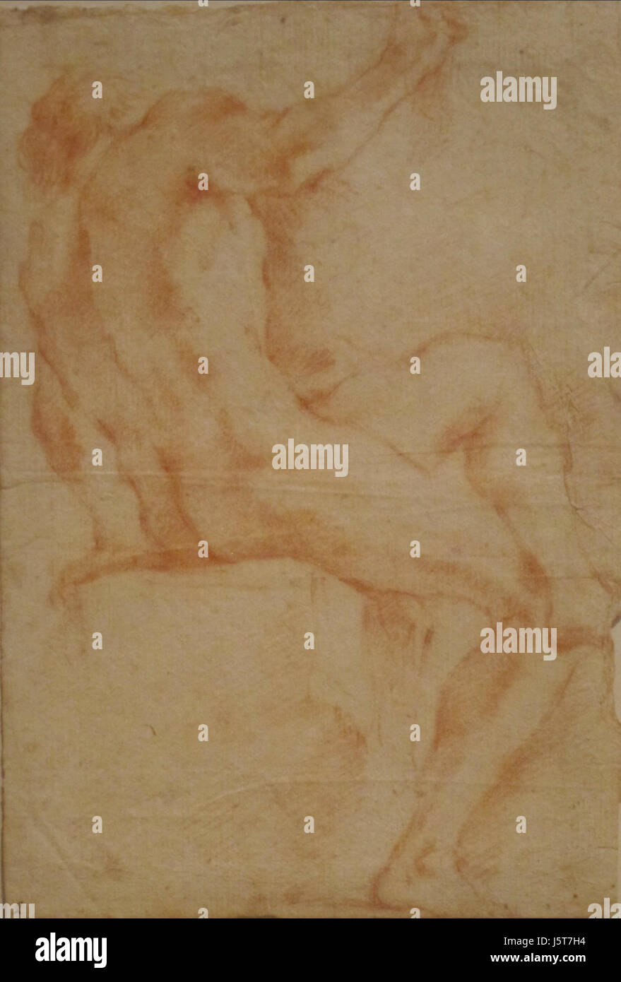 "Untitled" - studio di un seduto figura maschile- attribuito ad Andrea Sacchi, Honolulu Museum of Art Foto Stock