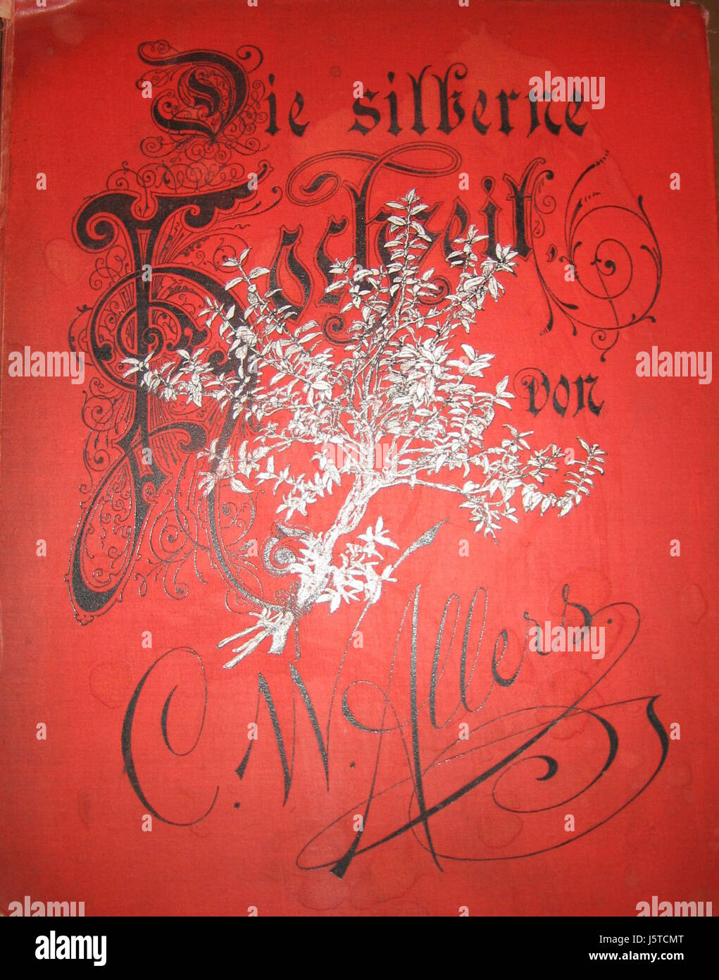 "Die Silberne Hochzeit" si riferisce al 25° anniversario di matrimonio, una pietra miliare significativa in molte culture. Il termine è spesso associato a celebrazioni o eventi commemorativi in Germania. Foto Stock