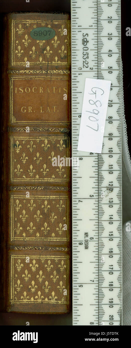 Questa voce si riferisce alla colonna vertebrale (G8907), che può riferirsi a un'illustrazione anatomica o scientifica o a uno studio che coinvolge la colonna vertebrale umana o la struttura vertebrale. Il contesto specifico della colonna vertebrale non è chiaro, ma suggerisce di concentrarsi su studi biologici o medici. Foto Stock