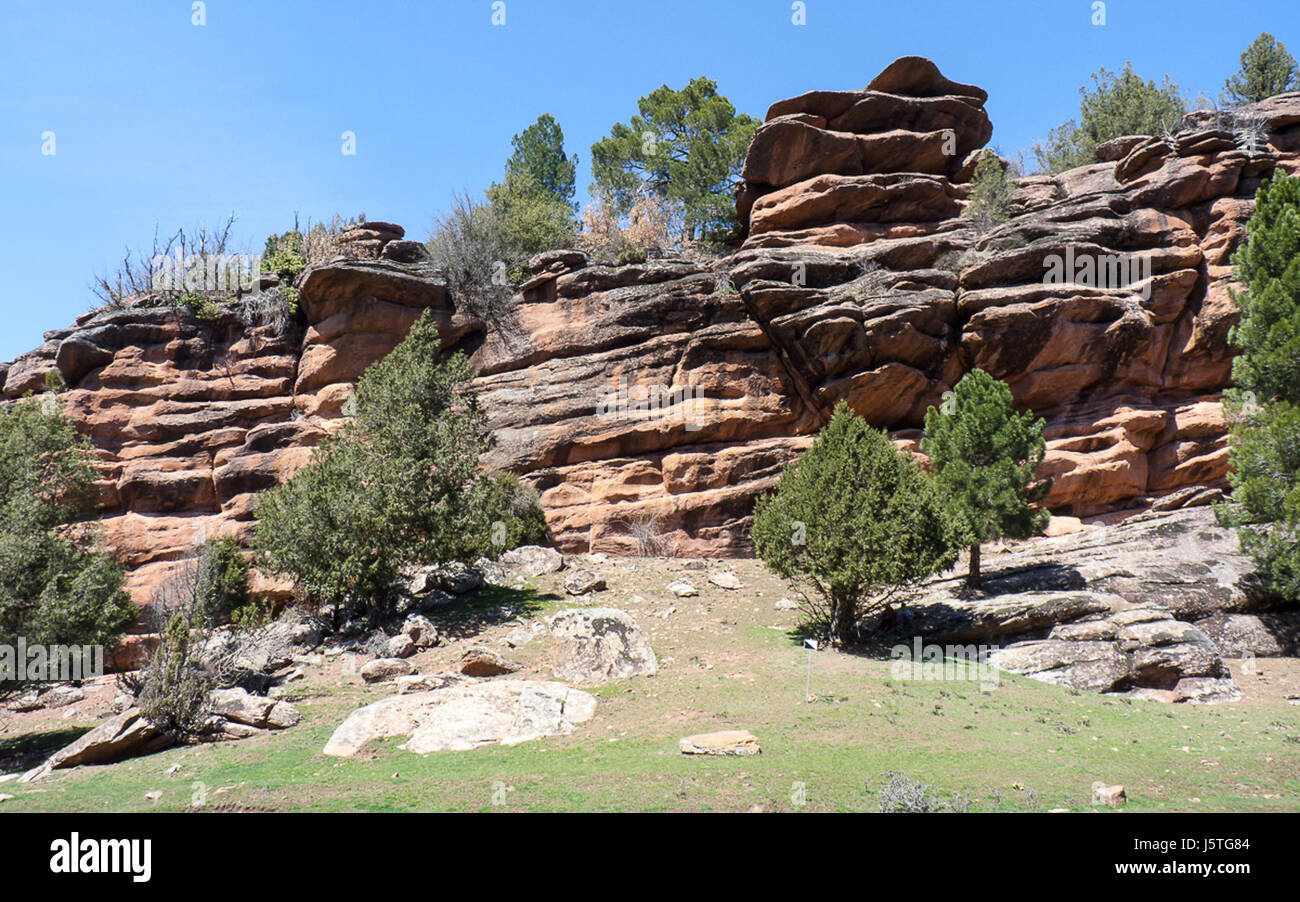 Questo titolo si riferisce a un'immagine o a un evento catturato in Spagna nel 2015, contrassegnato da una data e da un numero di riferimento specifici, probabilmente parte di una fotografia o di un record storico dell'anno. Foto Stock