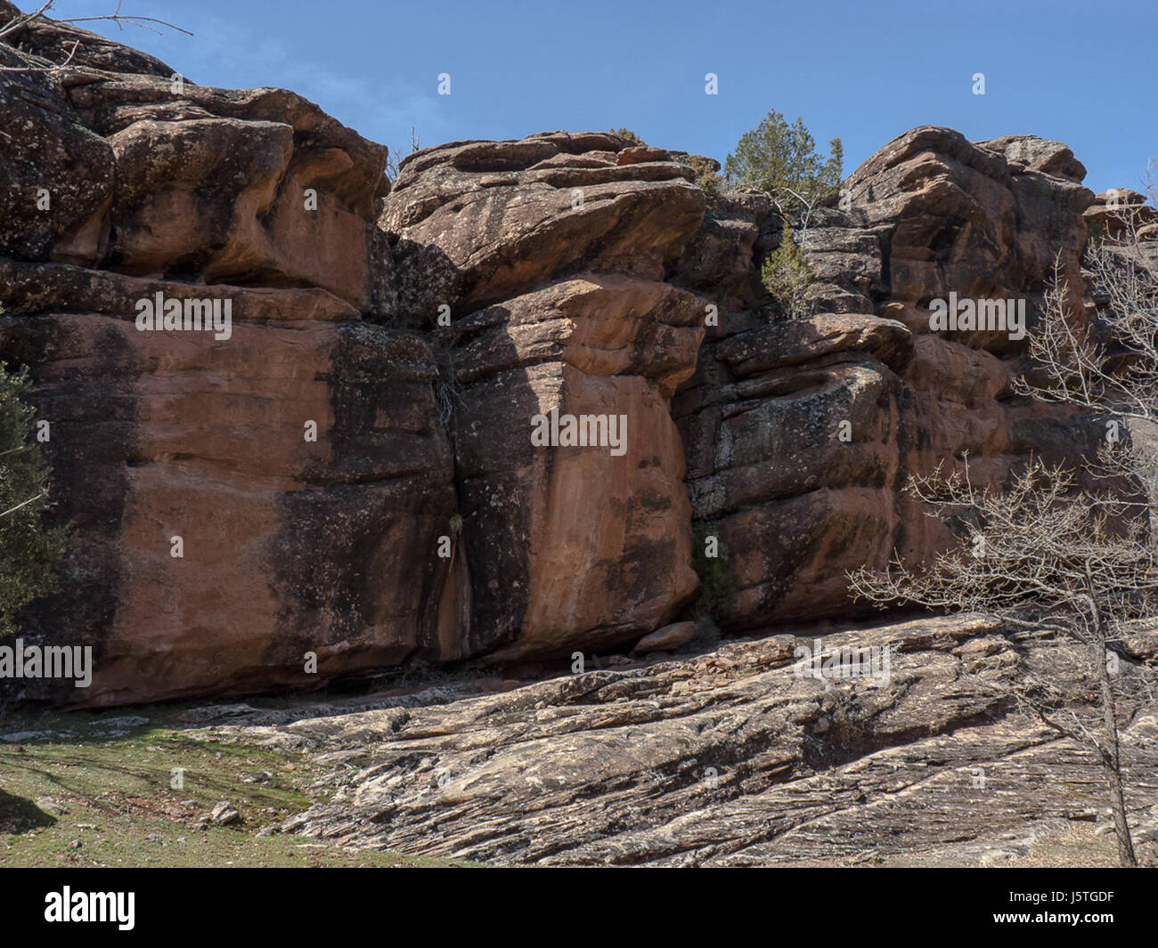 Questo riferimento sembra essere collegato a un evento o indagine sulla fauna selvatica in Spagna, probabilmente incentrato sulla flora o sulla fauna documentata nel 2015. Fornisce dati o risultati pertinenti per gli sforzi di conservazione della fauna selvatica nella regione. Foto Stock