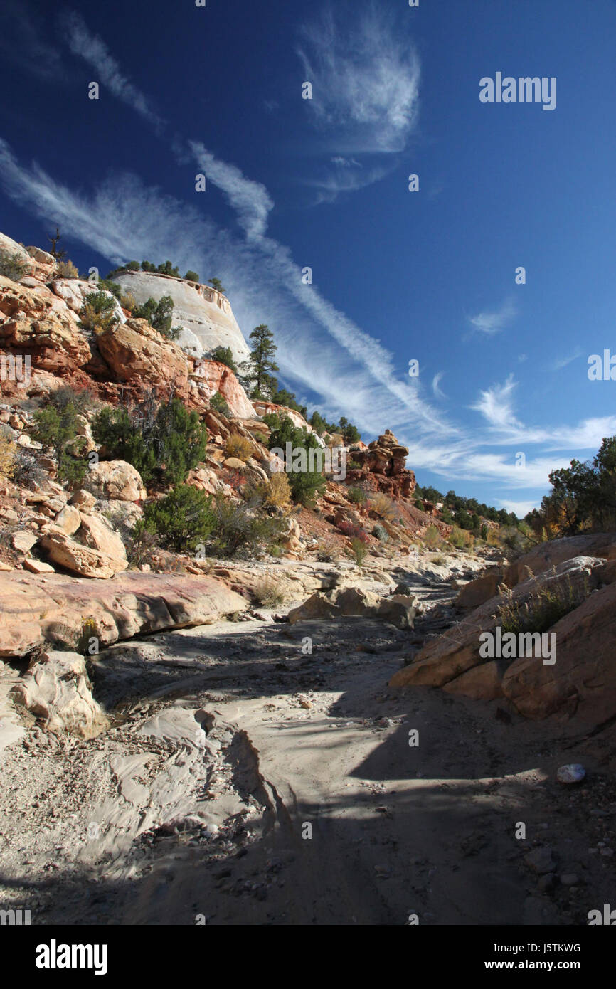 018 - pioppi neri americani Road, Round Draw (10-15-11) -01 (6273261112) Foto Stock