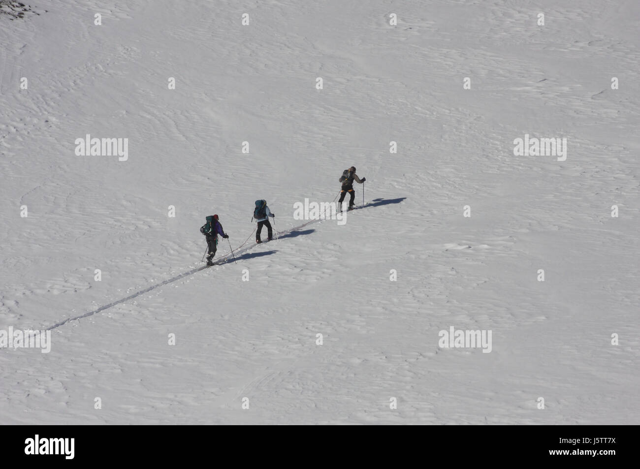 Alpinista nel campo di neve Foto Stock