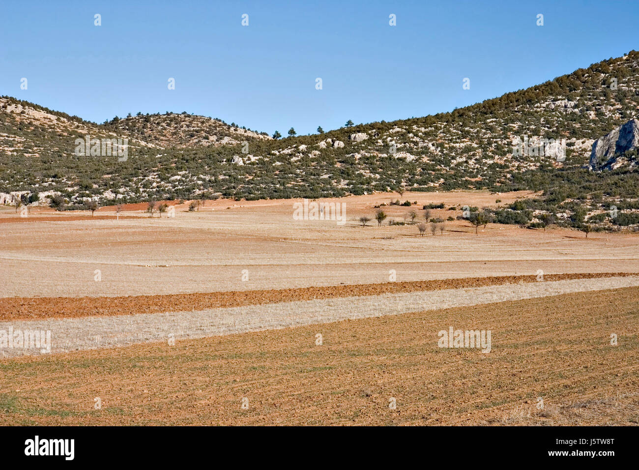Hill inverno agricoltura agricoltura acri di campo turchia slim sligth aride lean gaunt Foto Stock