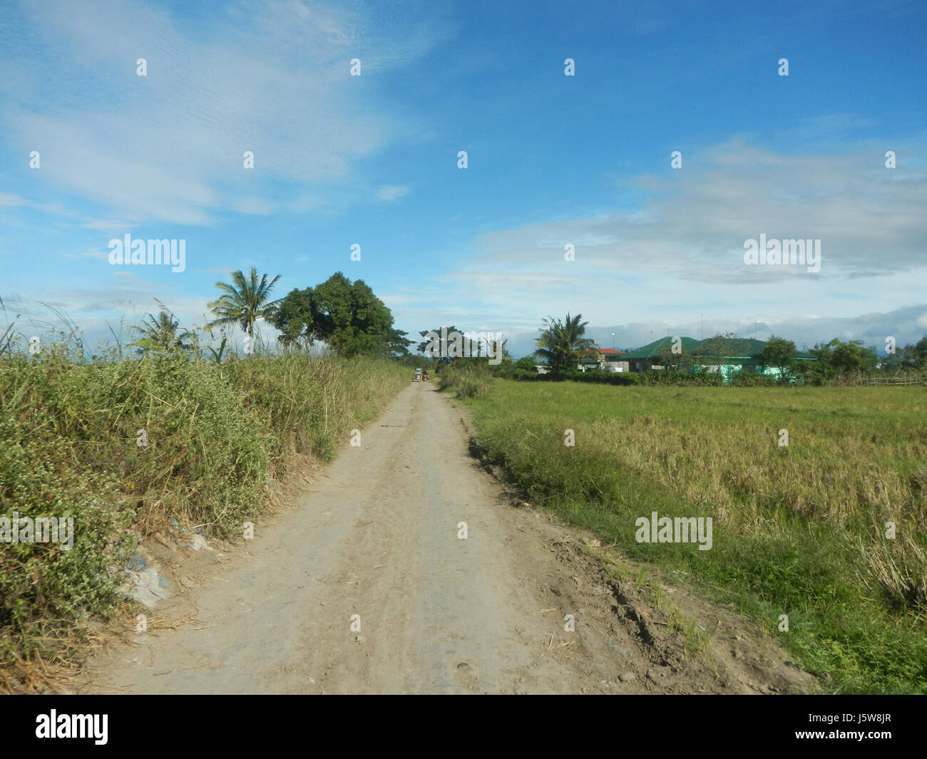 Questa immagine cattura Sitio Pinagpala Extension a Bulualto, San Miguel, Bulacan. La scena include la Farm Market Road, che funge da importante strada commerciale in questa zona rurale delle Filippine. Foto Stock