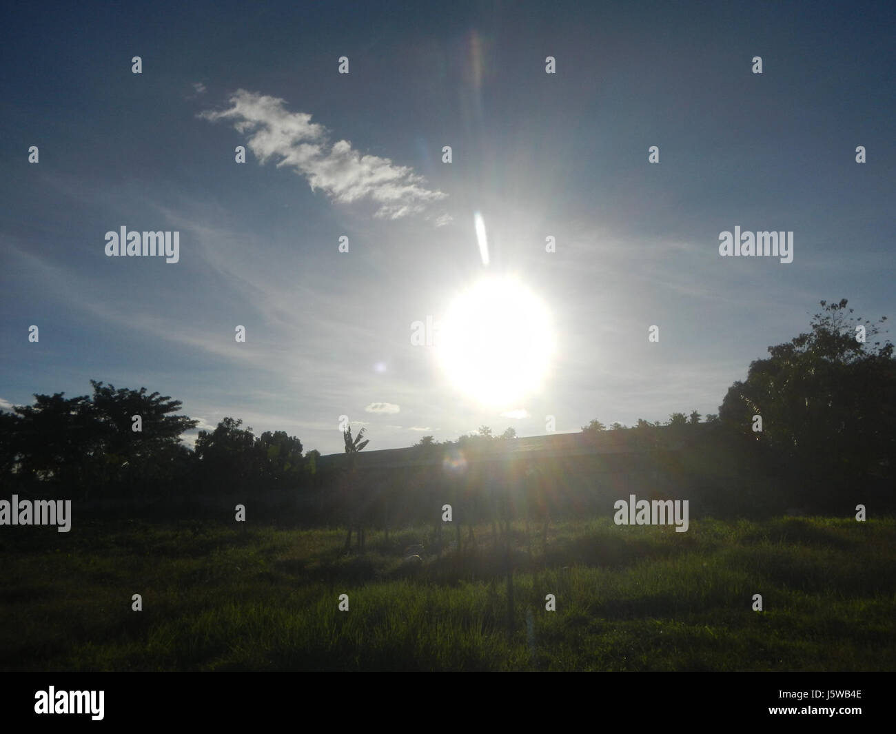0499 risaie praterie di bestiame Gabihan Chiesa San Ildefonso Bulacan Road 20 Foto Stock