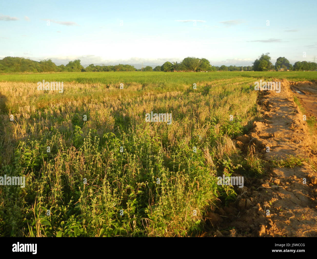 01972 Bypass Plaridel arteria stradale progetto Bypass, Fase II San Rafael, Bulacan 15 Foto Stock