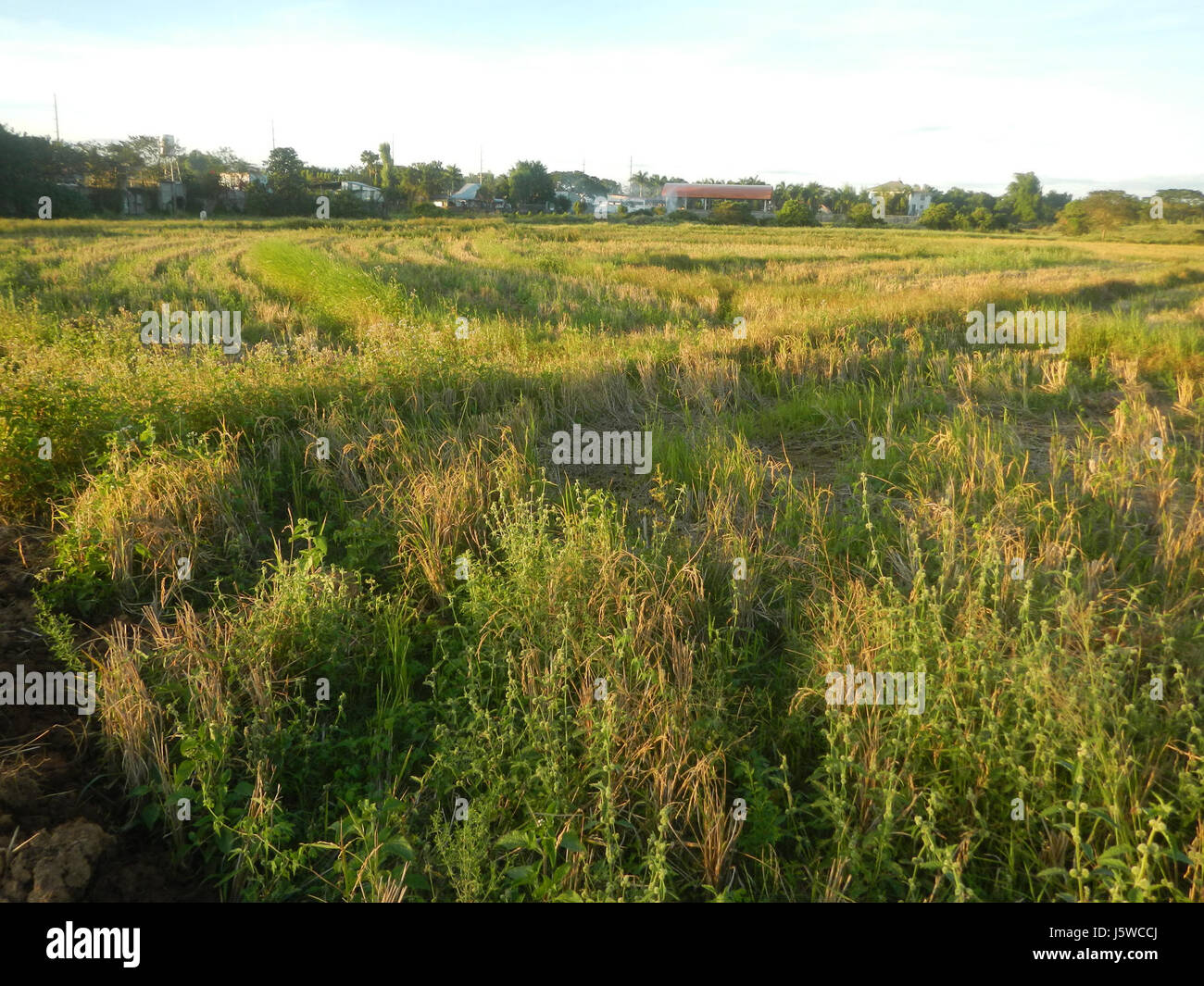 01972 Bypass Plaridel arteria stradale progetto Bypass, Fase II San Rafael, Bulacan 17 Foto Stock