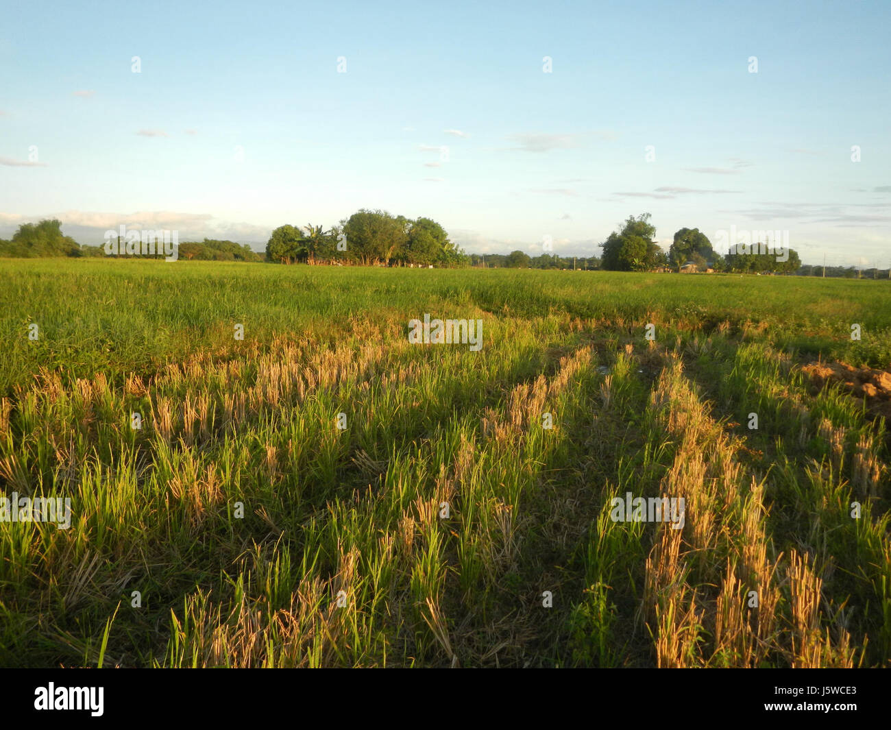 02020 Plaridel arteriosa Bypass Road Progetto Bypass, Fase II San Rafael, Bulacan 10 Foto Stock