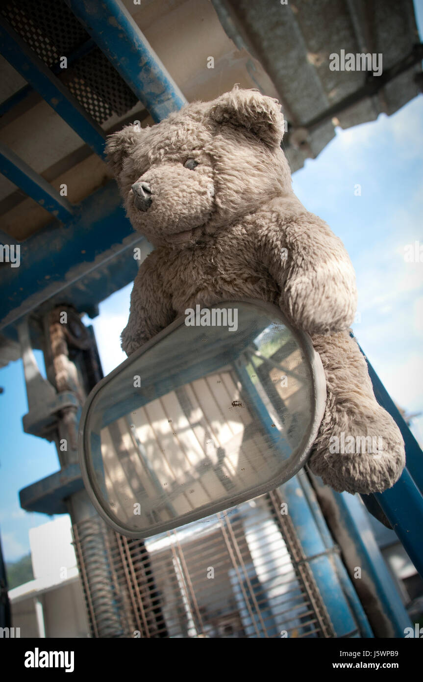 Un orsacchiotto di peluche su un trattore. Foto Stock