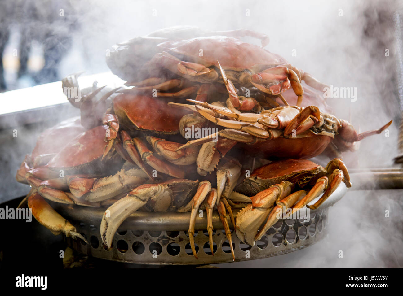 FISHERMAN'S WHARF GROTTO HA COTTO AL VAPORE GRANCHI SAN FRANCISCO appena cucinati e al vapore granchi Dungeness al Fisherman's Wharf Grotto Pier 39 Embarcadero San Francisco California USA Foto Stock