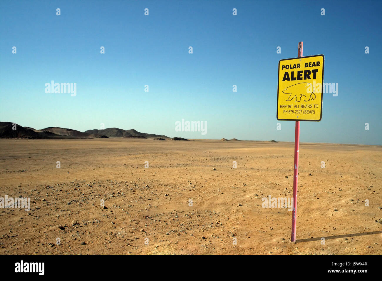 Segnale di segno vasto deserto orso polare hot morirono melt fuso sabbia  Sabbie Foto stock - Alamy
