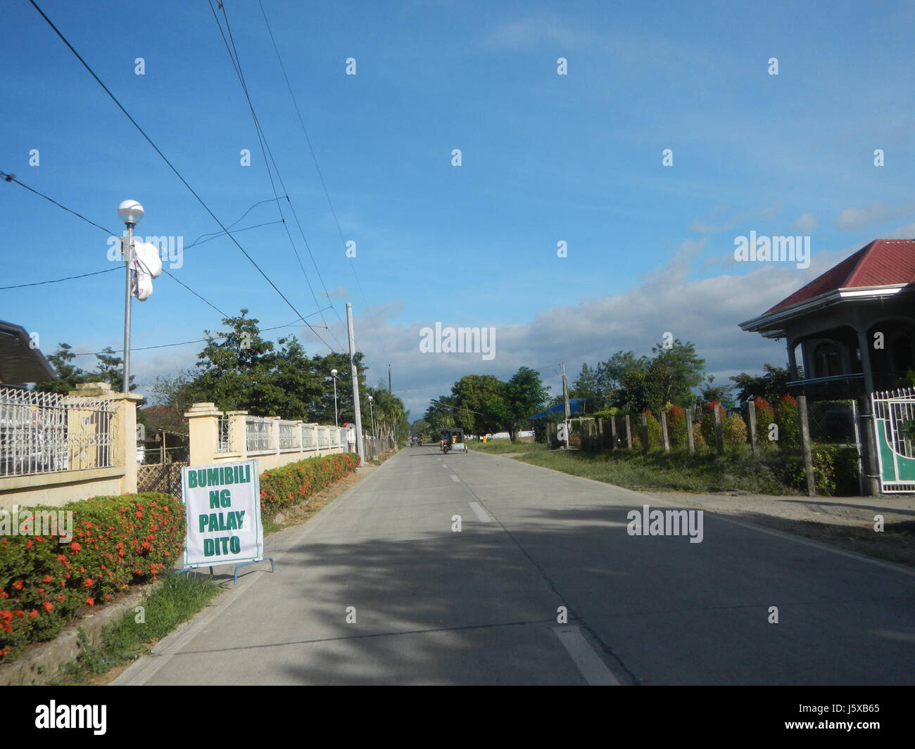 Quest'area di Candaba, Pampanga, è conosciuta per le sue ampie risaie e l'attività agricola. Le strade e le infrastrutture di questa regione sostengono l'economia agricola locale e facilitano il trasporto dei prodotti. Foto Stock