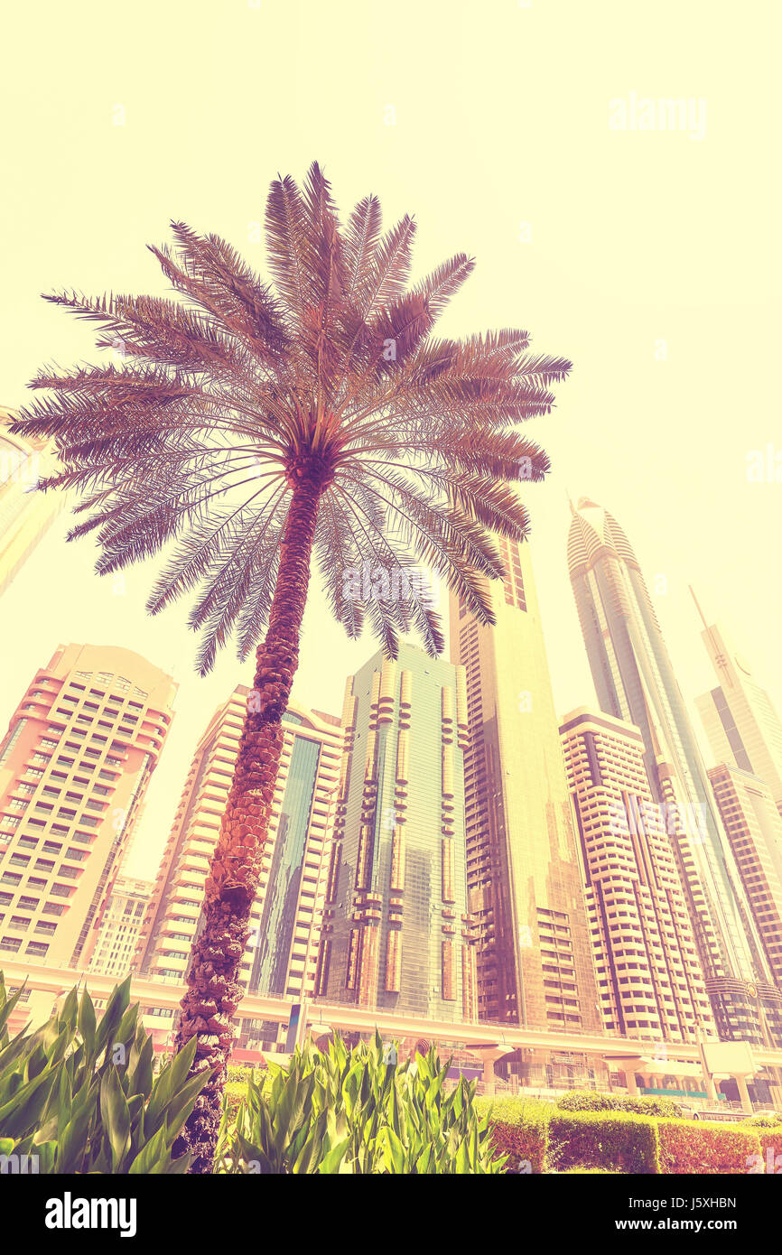 Palm tree nella parte anteriore dei grattacieli di Dubai, tonificazione del colore applicato, Emirati Arabi Uniti. Foto Stock