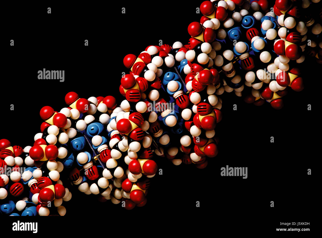 La ricerca di ricerca nel settore della medicina cella cella nucleo biologia tortuoso mutazione umana Foto Stock
