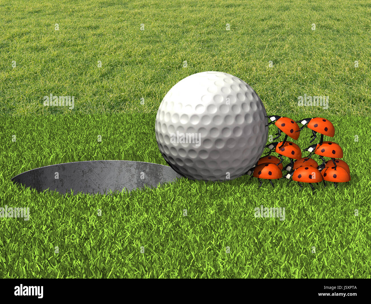 Obiettivo Obiettivo del golfo del foro del lavoro di squadra palla palla da  golf lucky fortuna ladybug hit sport sport Foto stock - Alamy
