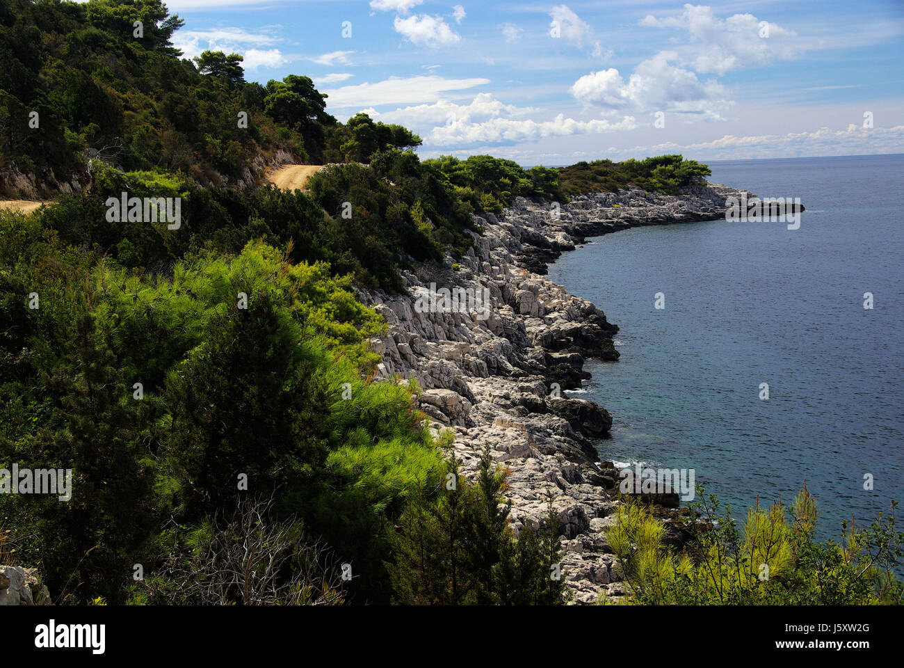 Baia sulla costa della Croazia strada acqua salata oceano mare dalmazia acqua blue tree stone Foto Stock