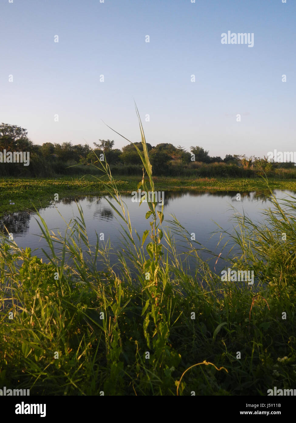 Questa immagine raffigura i lavori di costruzione sulle rive del fiume Angat, tra cui laghetti, insenature e protezione dei pendii attraverso tecniche di riprap lungo la Baliuag Road a Bulacan, Filippine. Foto Stock