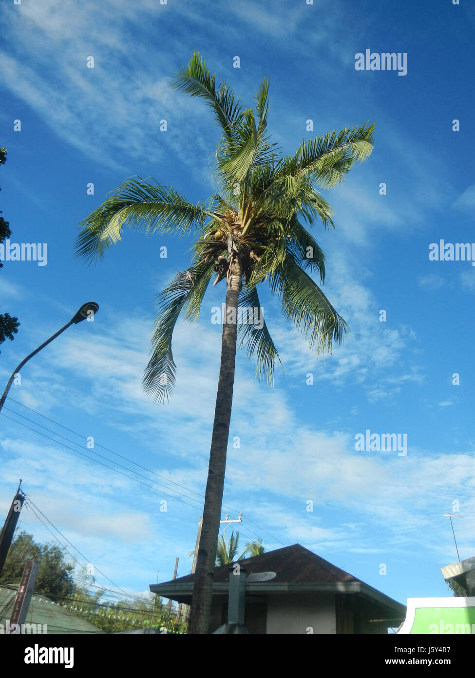 La torcia della libertà Pistang Bayan a Poblacion Bustos, Bulacan, è un evento della comunità che celebra la libertà e l'unità. La torcia simboleggia la storia del regionÂ e il suo continuo significato culturale. Foto Stock