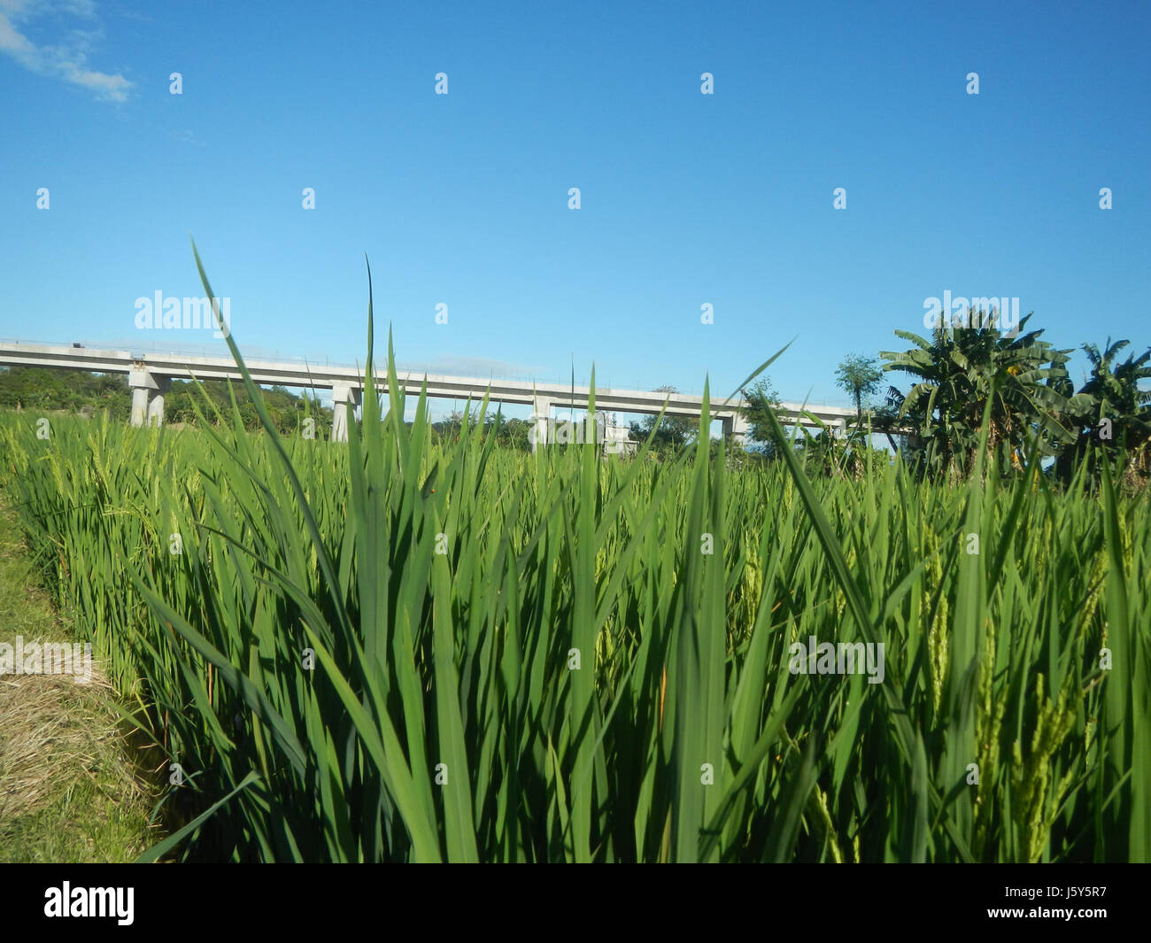 Ciò si riferisce allo sviluppo in corso della fase II del progetto Arterial Road bypass a Tambubong, Caingin, San Rafael, Bulacan. Il progetto prevede probabilmente miglioramenti infrastrutturali per facilitare i trasporti e lo sviluppo regionale. Foto Stock