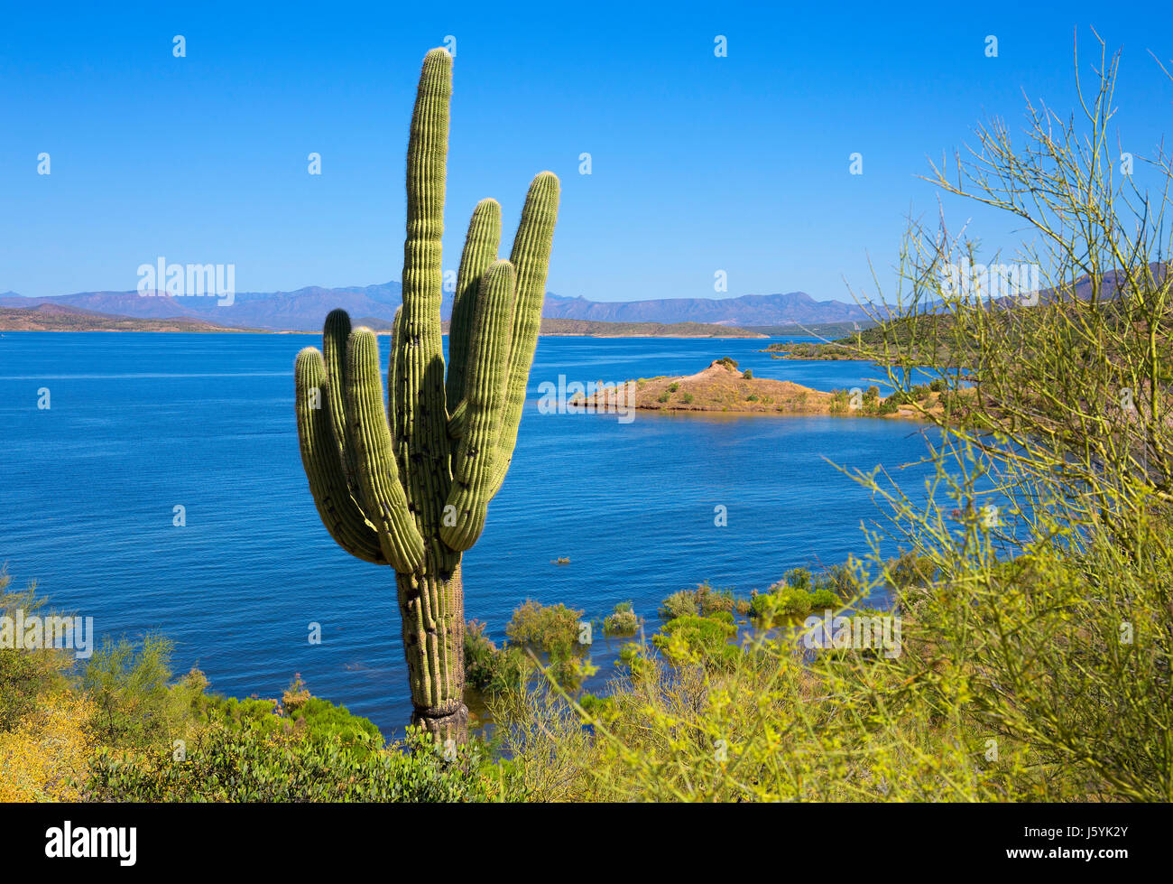Theodore Roosevelt Lake, Arizona Foto Stock